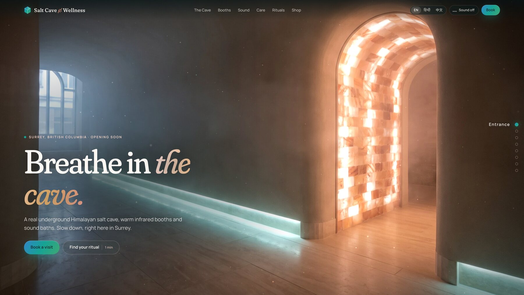 The website home screen